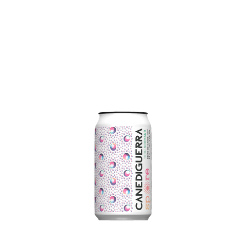 Trou Normand - Canediguerra