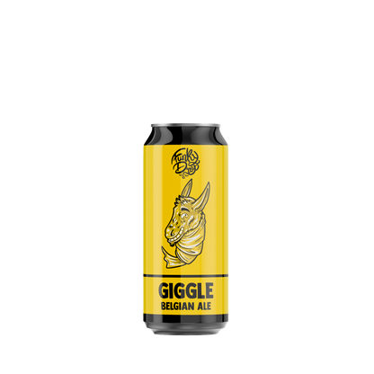 Mix Belgio - Box da 12 birre