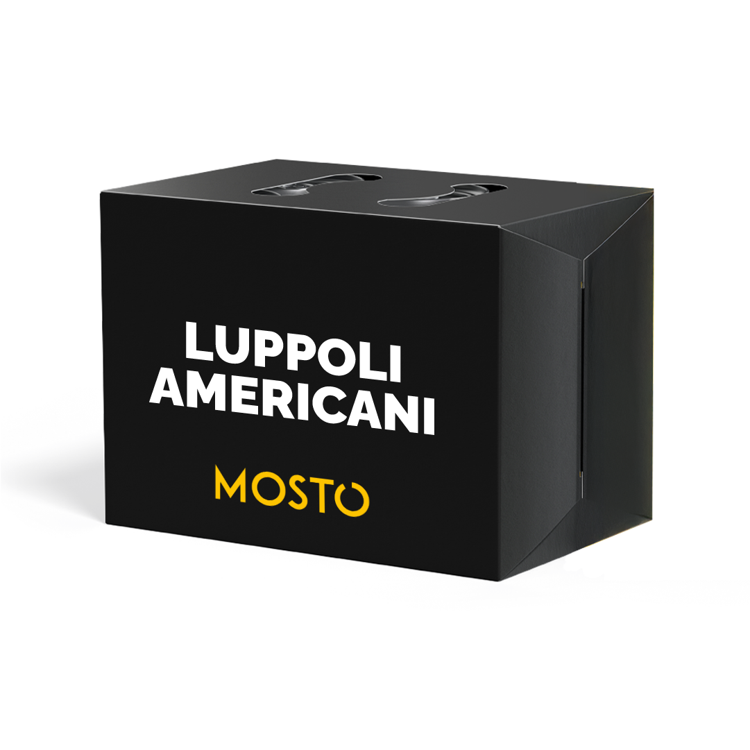 IPA con Luppoli Americani - Box da 12 birre