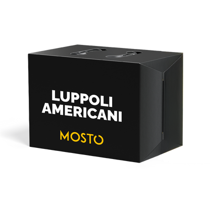 IPA con Luppoli Americani - Box da 12 birre