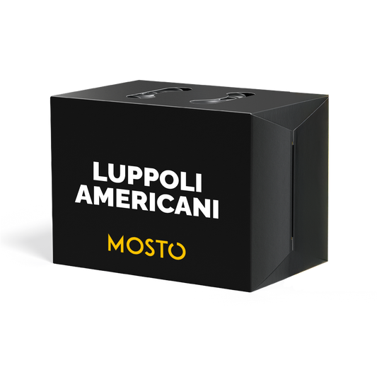 IPA con Luppoli Americani - Box da 12 birre