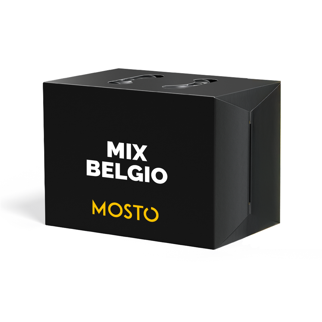Mix Belgio - Box da 12 birre