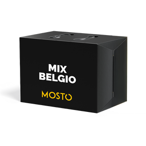 Mix Belgio - Box da 12 birre