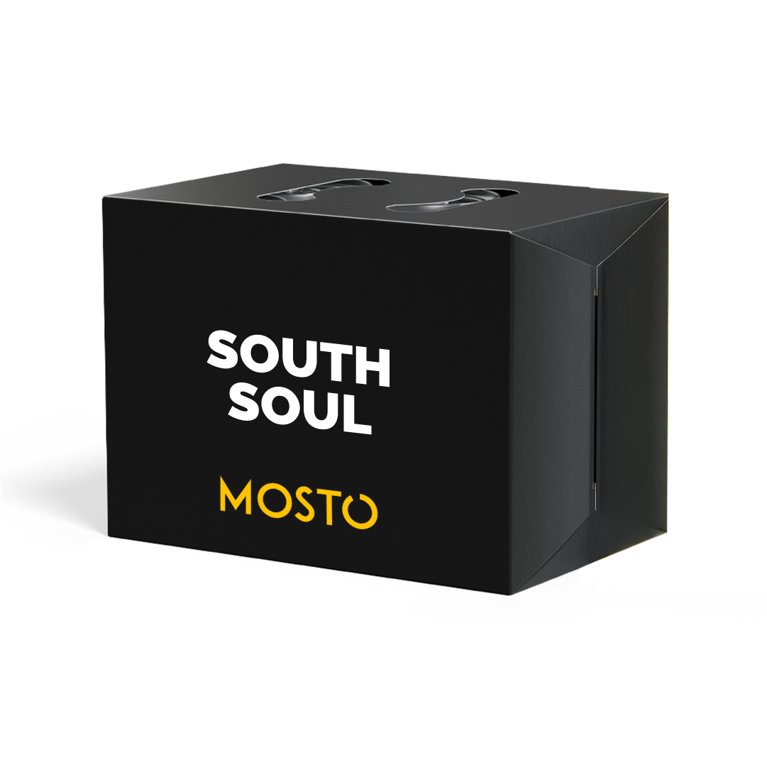 South Soul - Box da 12 Birre