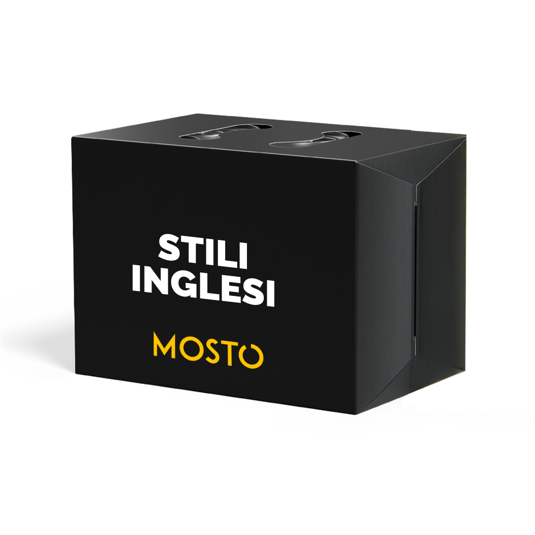 Stili Inglesi - Box da 12 birre