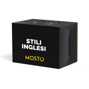 Stili Inglesi - Box da 12 birre