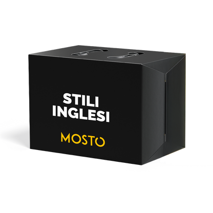 Stili Inglesi - Box da 12 birre
