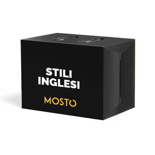 Stili Inglesi - Box da 12 birre