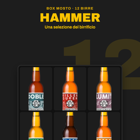 Box Hammer Mosto: 12 birre
