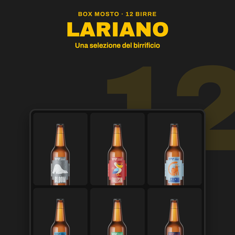 Box Lariano da 12 birre