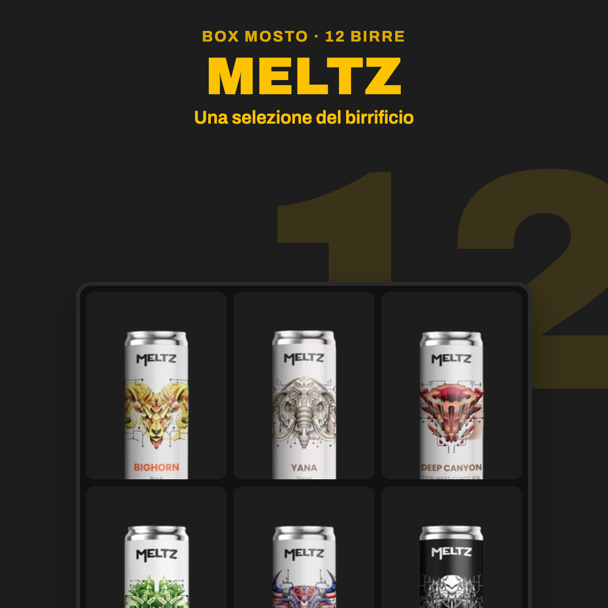 Box Birrificio Meltz Mosto: 12 birre