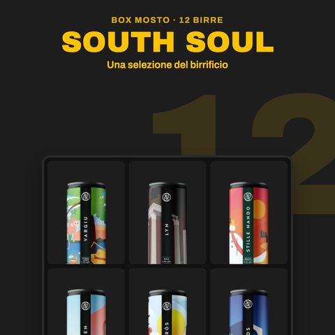 Box South Soul da 12 birre